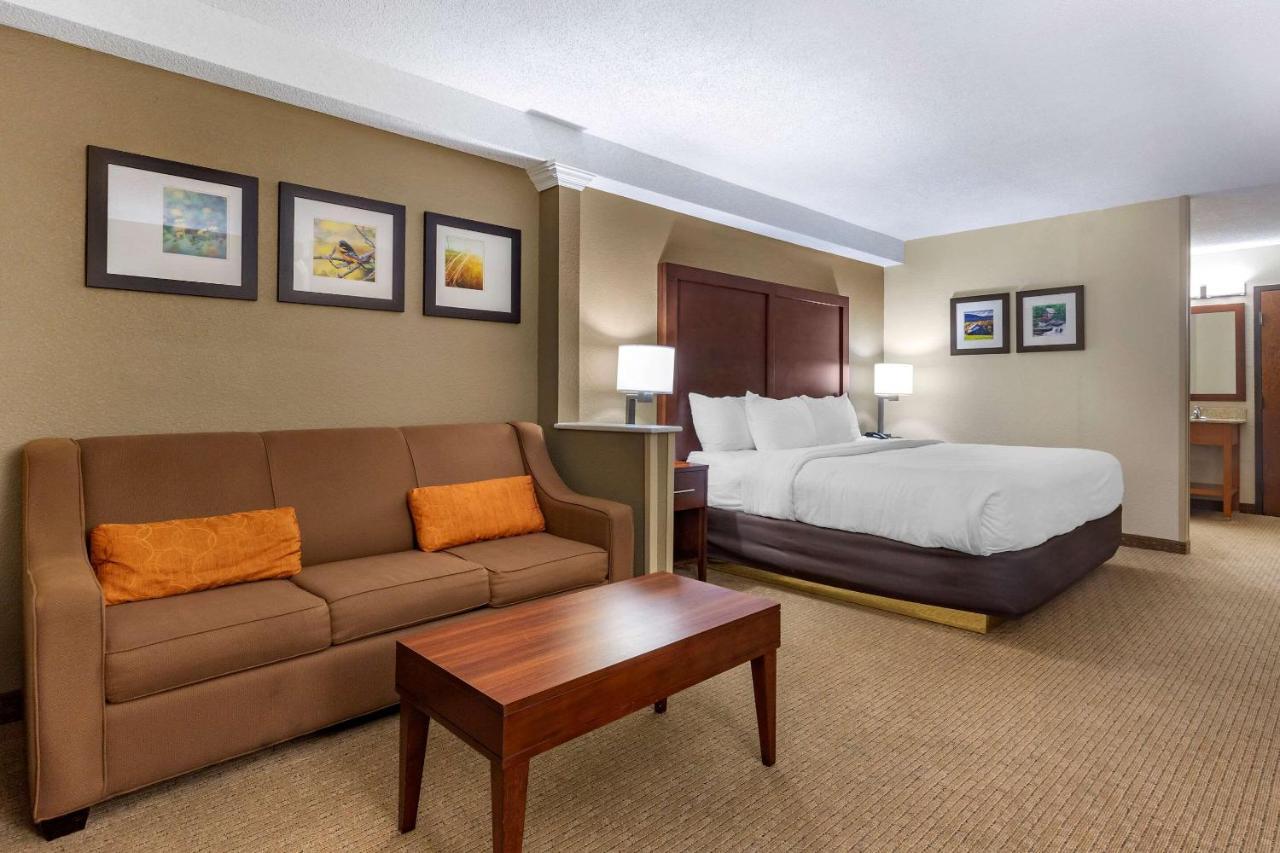 Hotel Comfort Inn&suites Near Mall 3*
