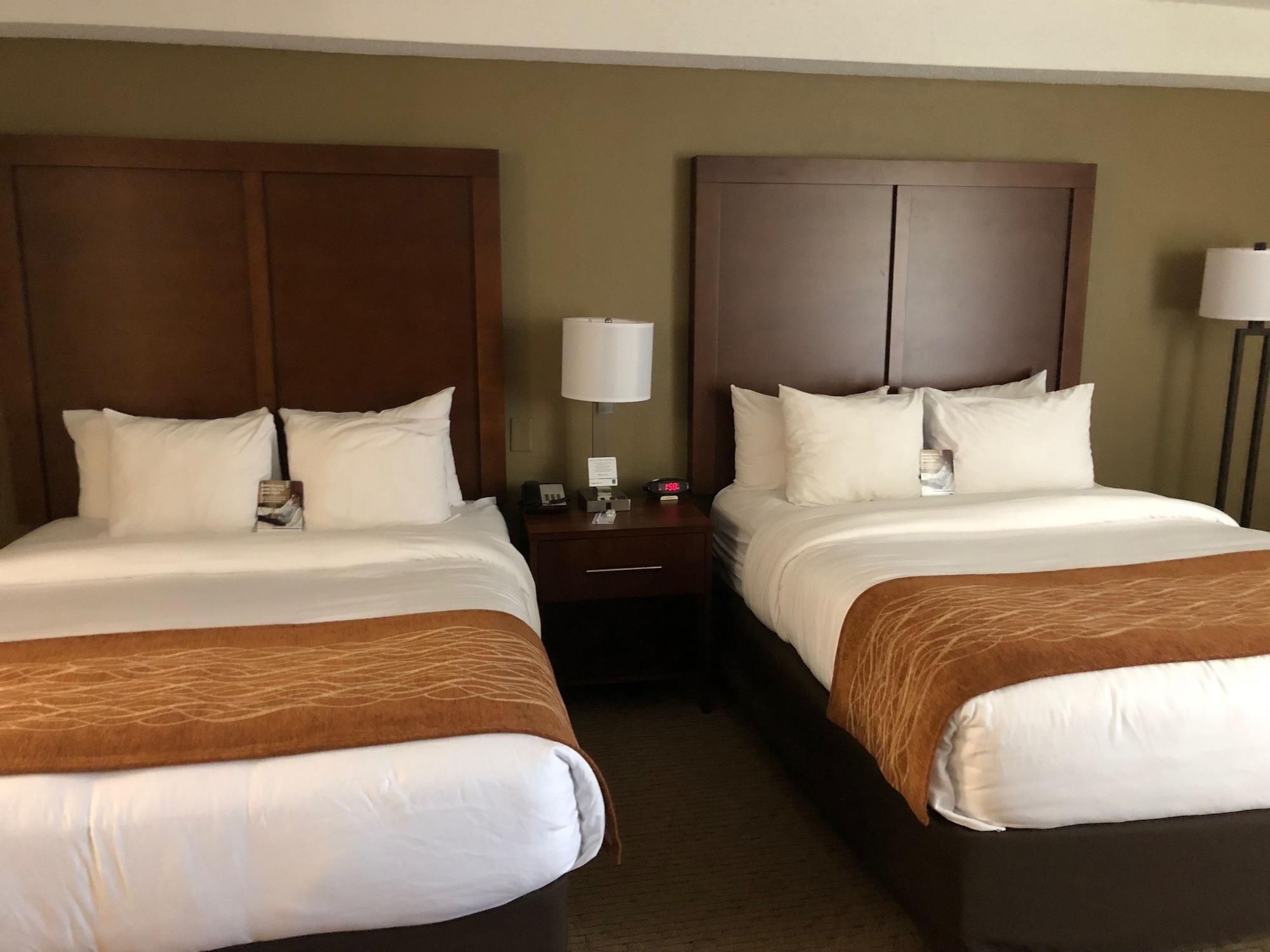 Comfort Inn&suites Near Mall