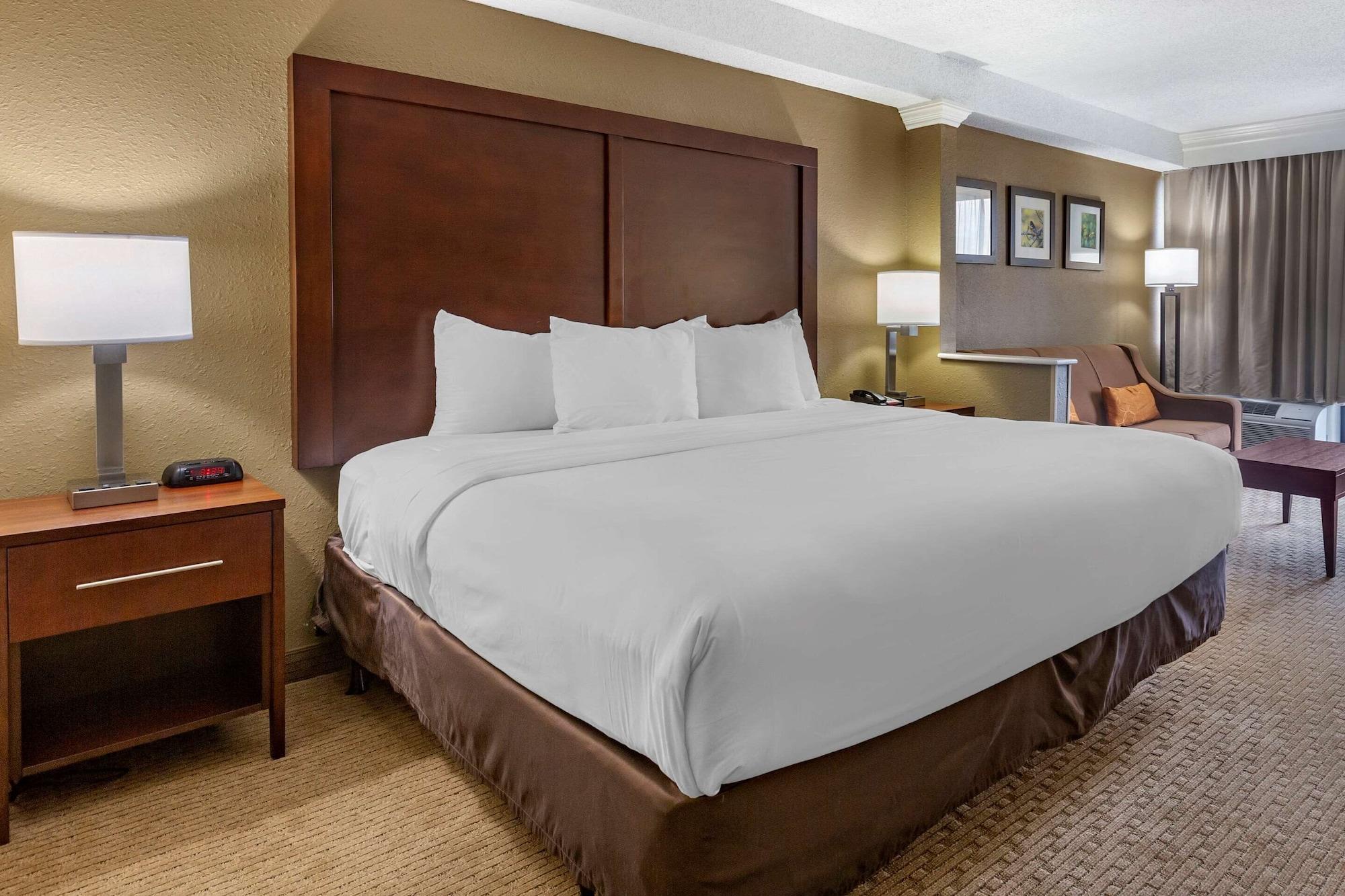 Hotel Comfort Inn&suites Near Mall Danville