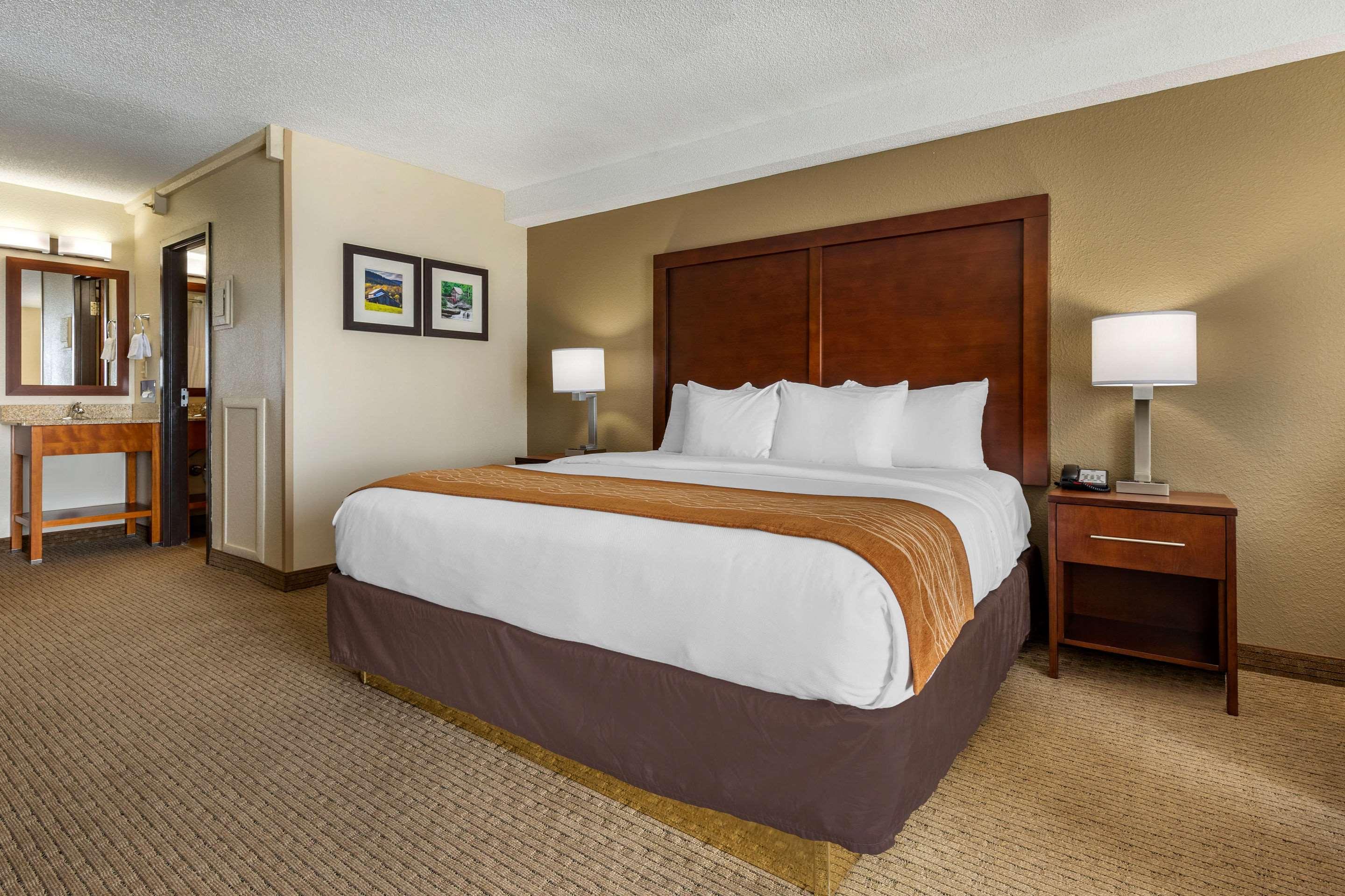 Comfort Inn&suites Near Mall Hotel Danville